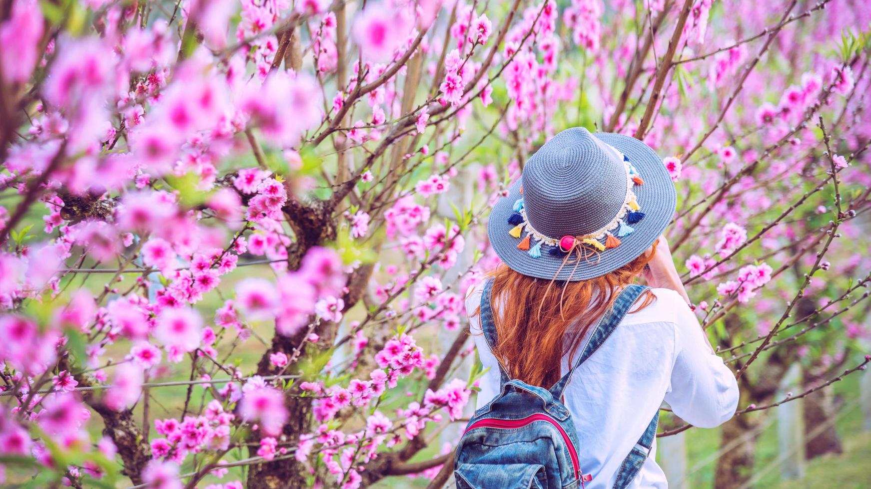 kvinna resenär med ryggsäck som håller hatt resa för att se de rosa körsbärsblommorna och njuta av en vacker natur. wanderlust resekoncept. foto