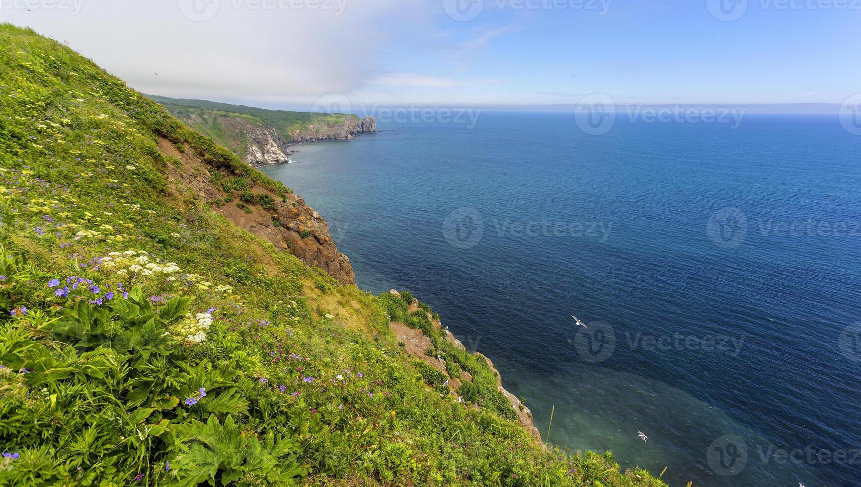 visningar av de pacific hav foto