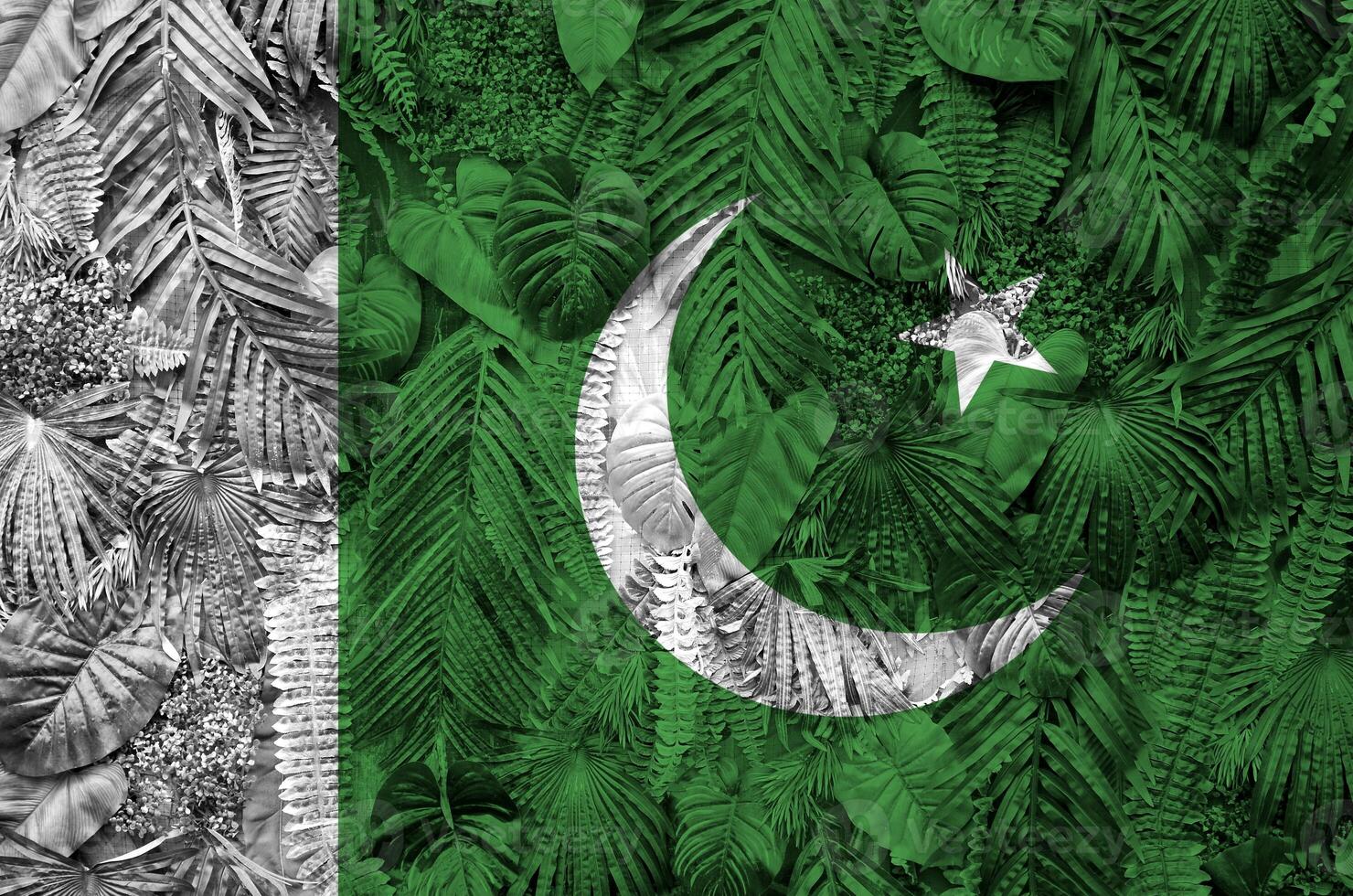 pakistan flagga avbildad på många leafs av monstera handflatan träd. trendig modern bakgrund foto