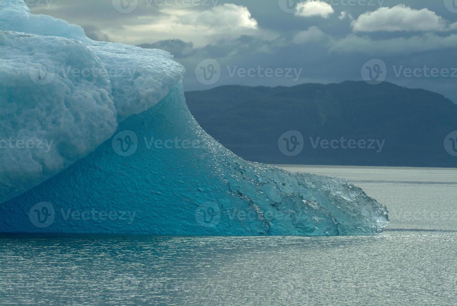 tracy arm isberg foto