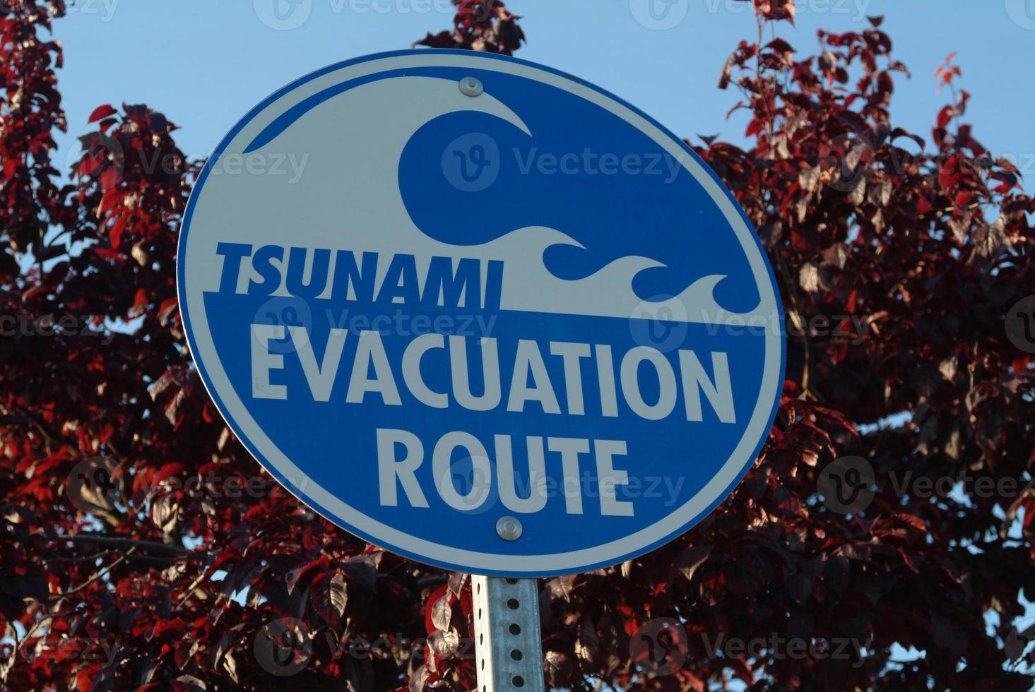 evakueringsväg för tsunami foto