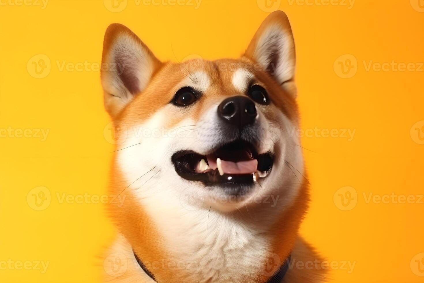 ai genererad shiba inu hund på gul bakgrund, närbild porträtt. foto