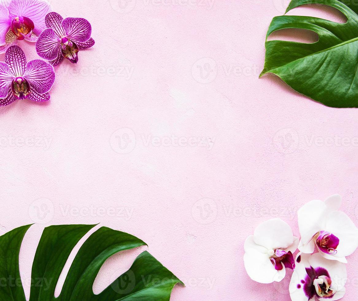 tropiska blad monstera och orkidéblommor foto