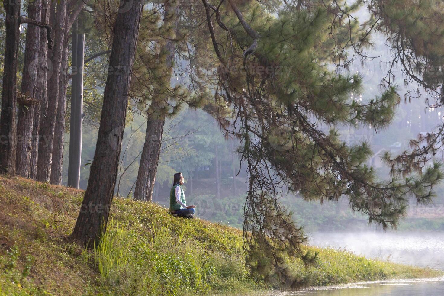 tillbaka av kvinna avkopplande praktiserande meditation yoga i de skog till uppnå lycka från inre fred visdom lugn med stråle av Sol ljus för friska sinne välbefinnande och wellness själ begrepp foto