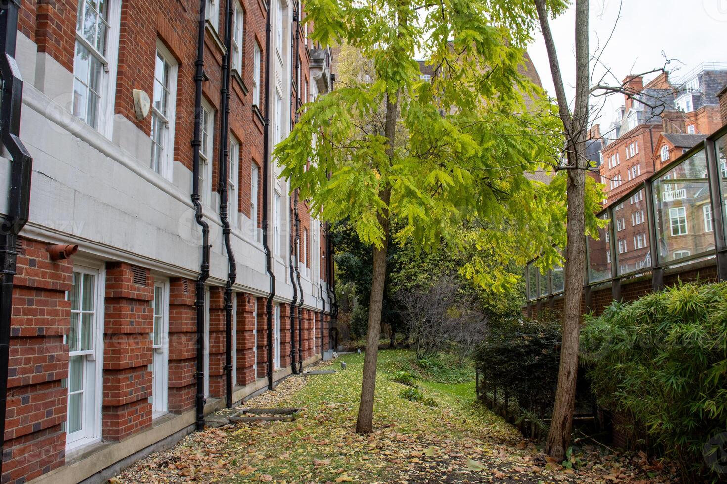 avskild trädgård förbi röd tegel London byggnad - en tyst hörn av urban lugn foto