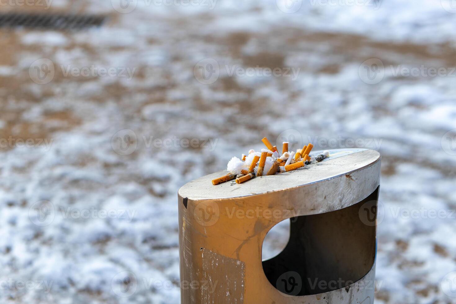 cigaretter stump i en avfall behållare i de vinter- foto