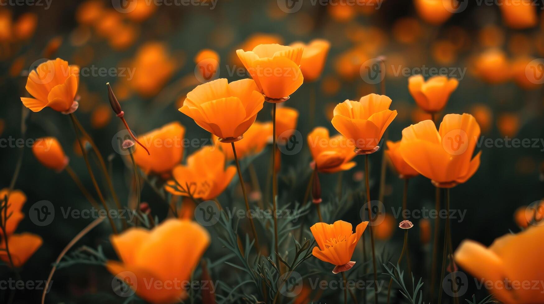 ai genererad en vibrerande grupp av orange blommor blomma graciöst i en solkysst fält, ai genererad foto