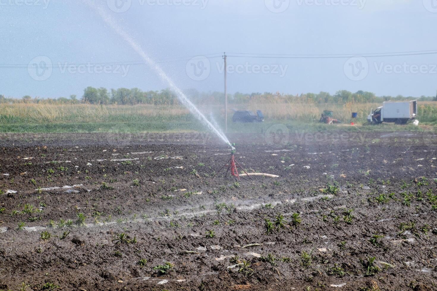 bevattning systemet i fält av meloner. vattning de fält. sprinkler foto