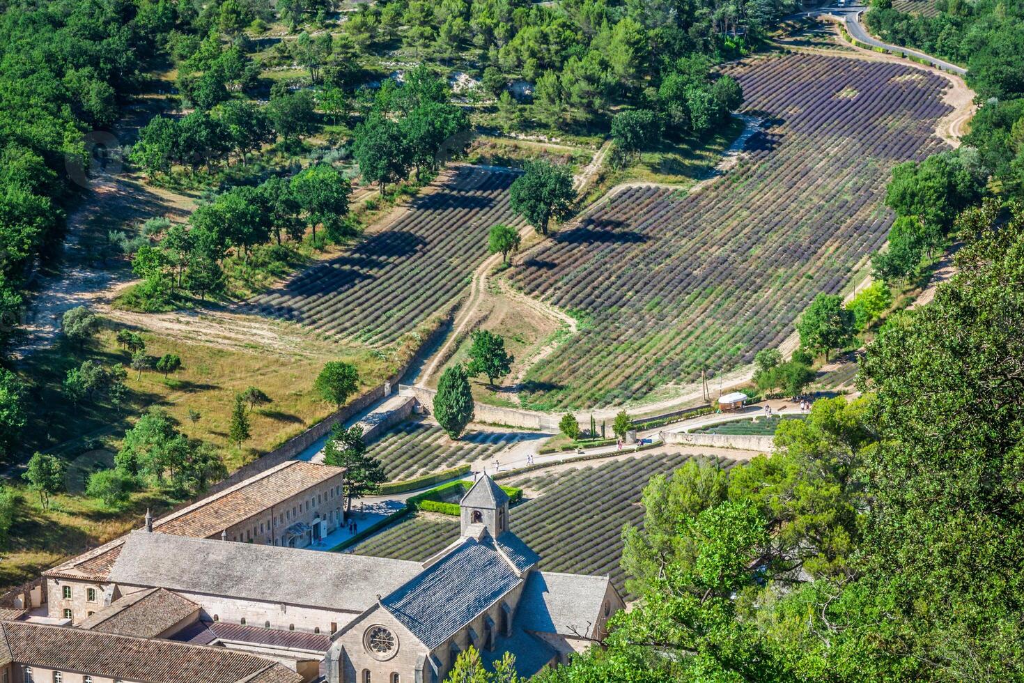 abbaye de senanque nära by Gordes, vaucluse område, provence, Frankrike foto