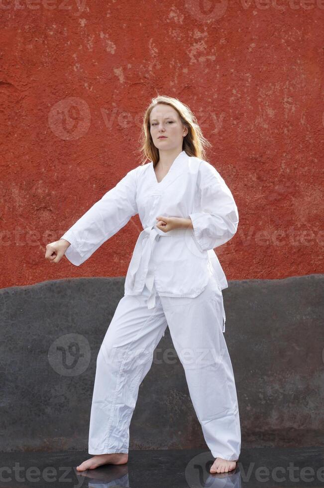 taekwondo krigisk konst foto