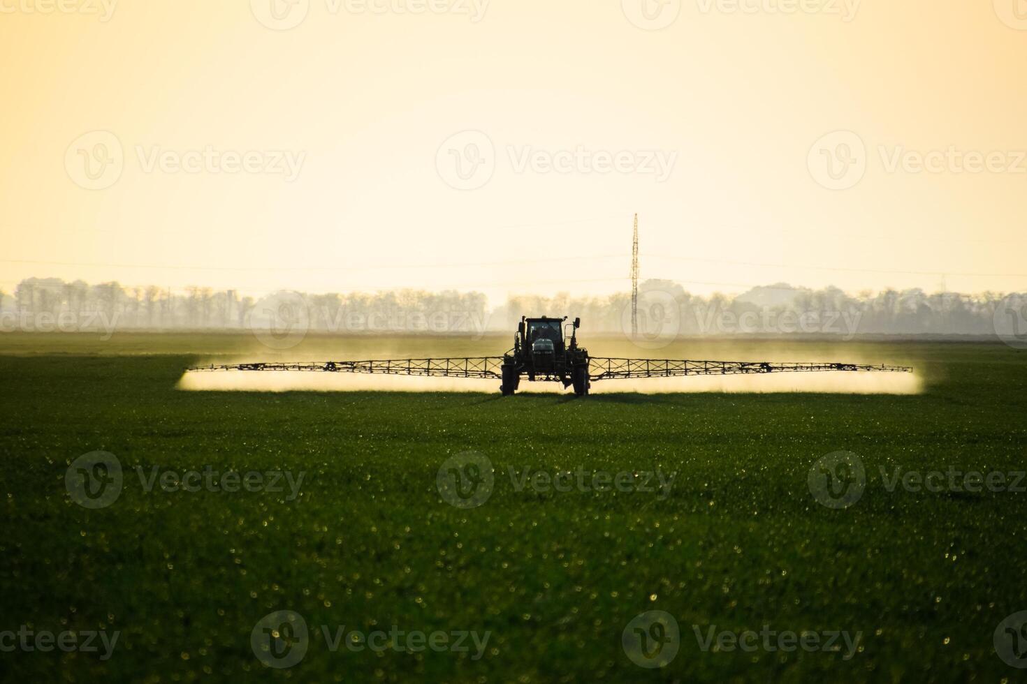 traktor med de hjälp av en spruta sprayer flytande gödselmedel på ung vete i de fält. foto