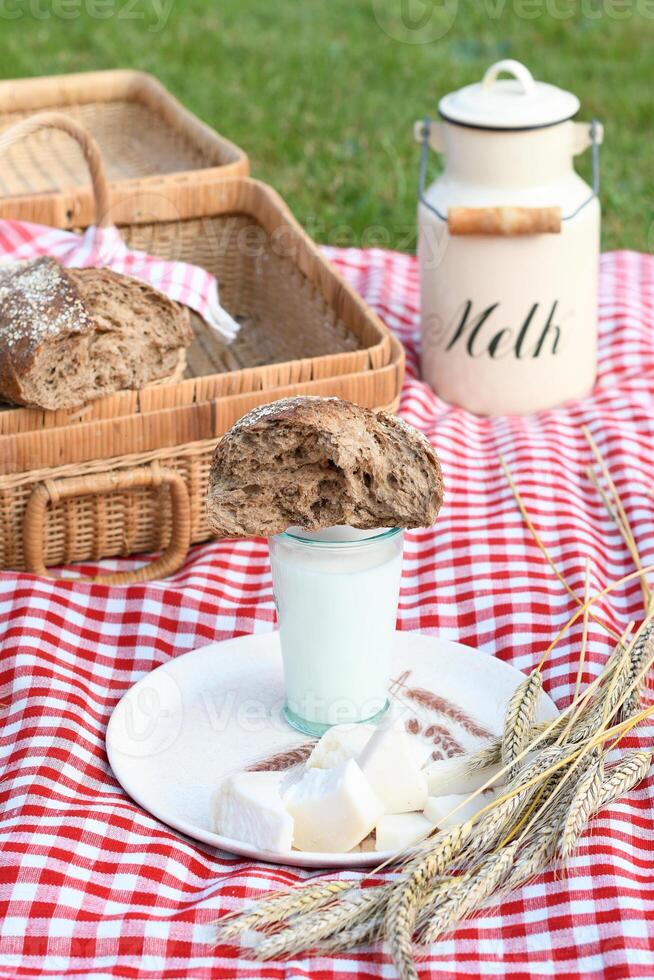 picknick med färsk bröd och mjölk på en röd rutig överkast på en grön gräsmatta foto