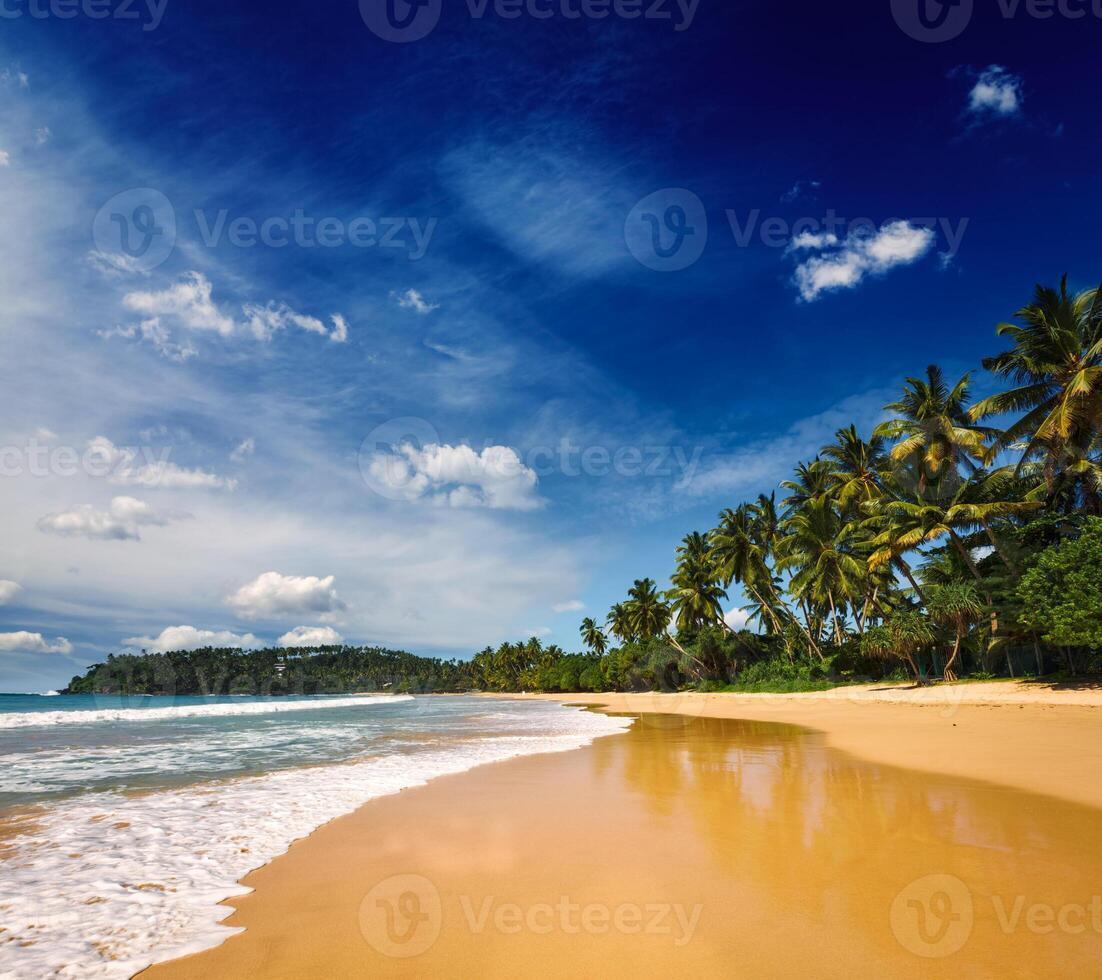 idyllisk strand. sri lanka foto