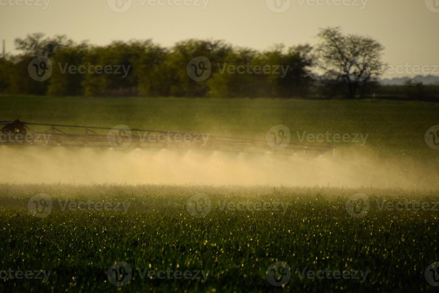 jets av flytande gödselmedel från de traktor spruta. foto