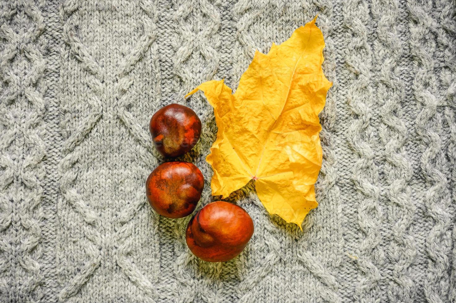 höstens gula och röda lönnlöv på bakgrunden av grå mysig stickad tröja foto