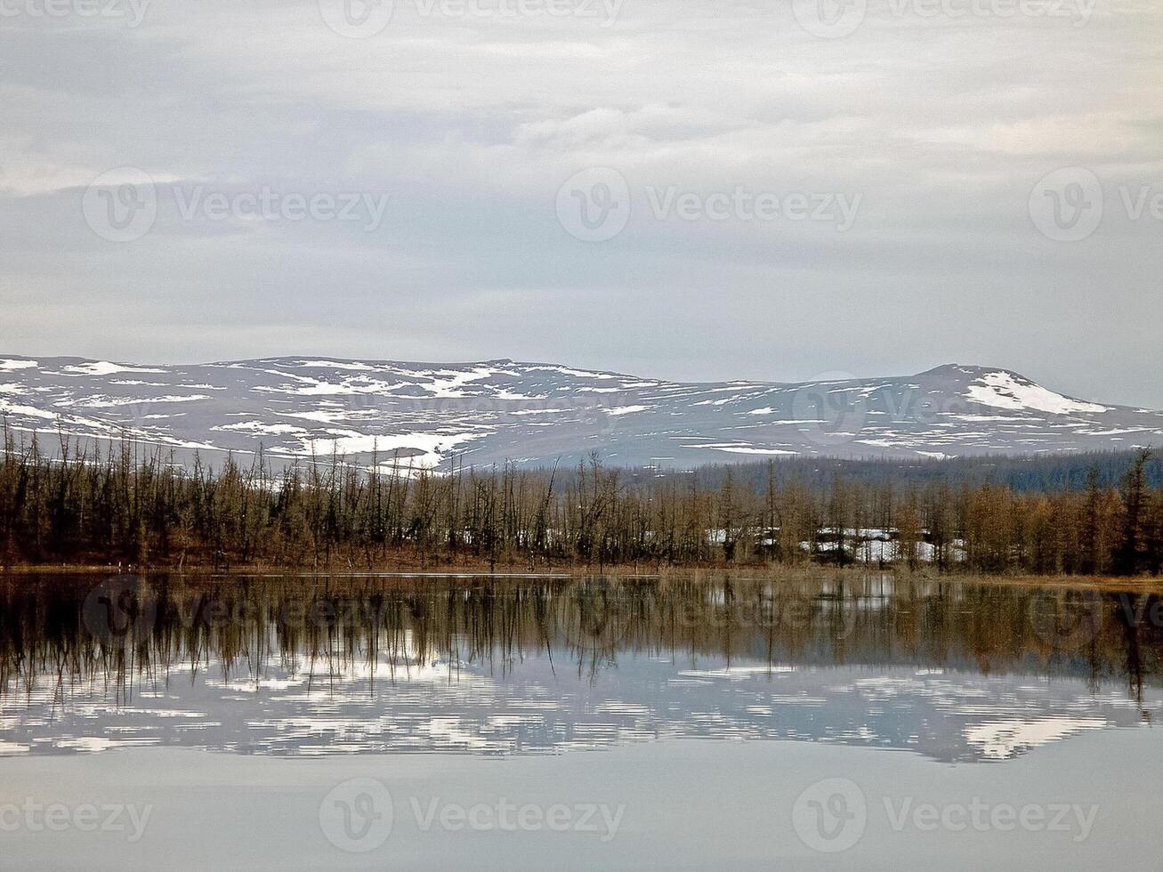 flod landskap tidigt vår. bar träd, smältande snö. foto