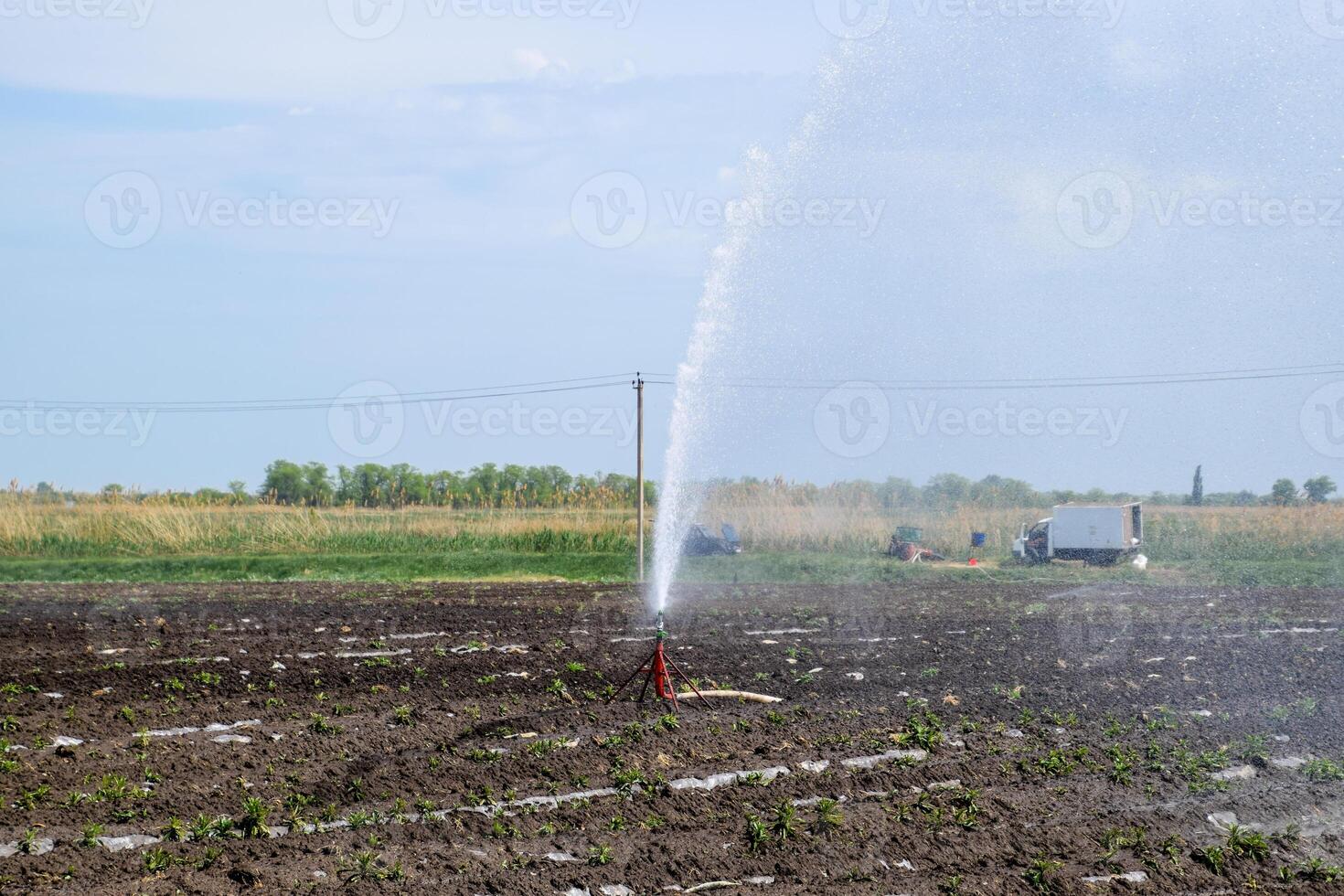 bevattning systemet i fält av meloner. vattning de fält. sprinkler foto