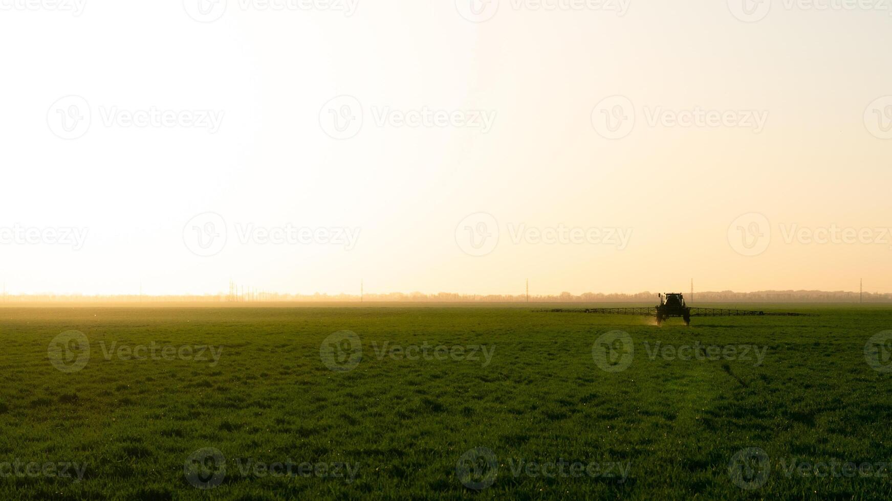 traktor på de solnedgång bakgrund. traktor med hög hjul är framställning gödselmedel på ung vete. foto