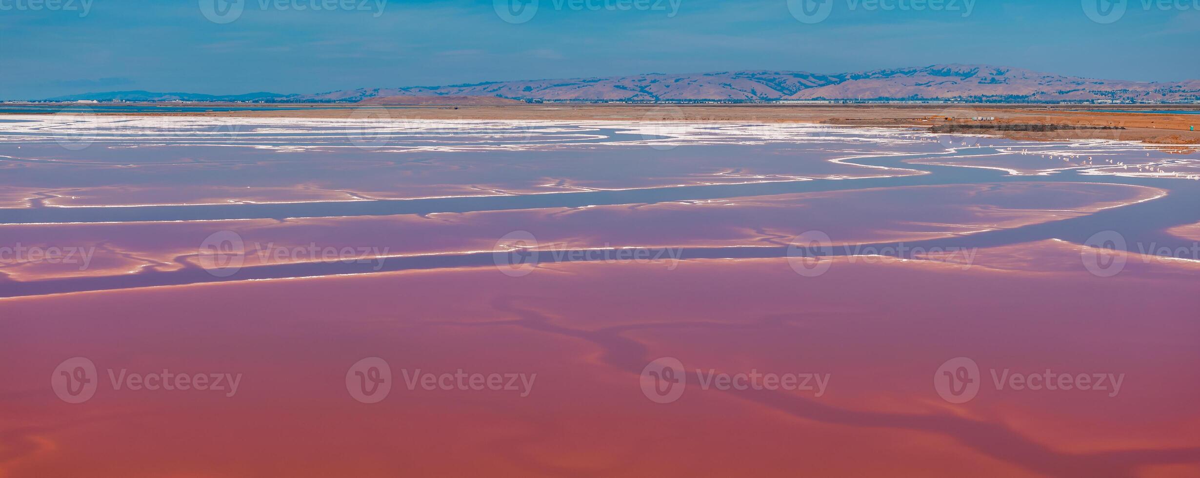 rosa salt dammar på alviso marina grevskap parkera foto