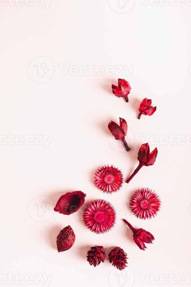 torr röd blommor på rosa bakgrund. platt lägga topp och vertikal se foto