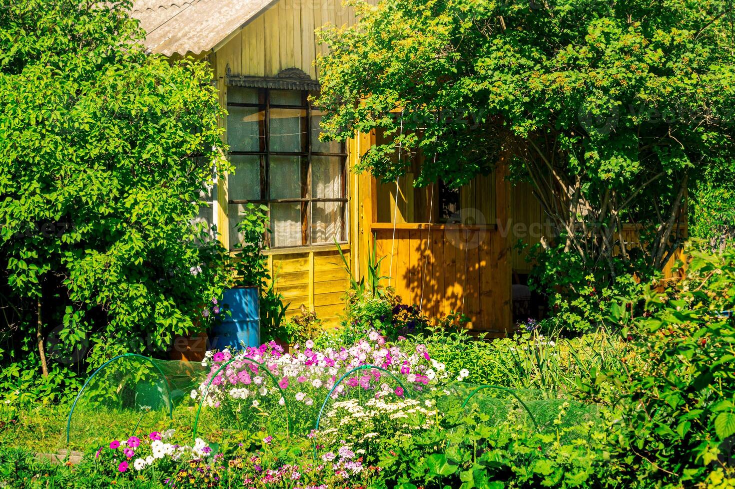 by hus med trädgård på en solig sommar dag foto
