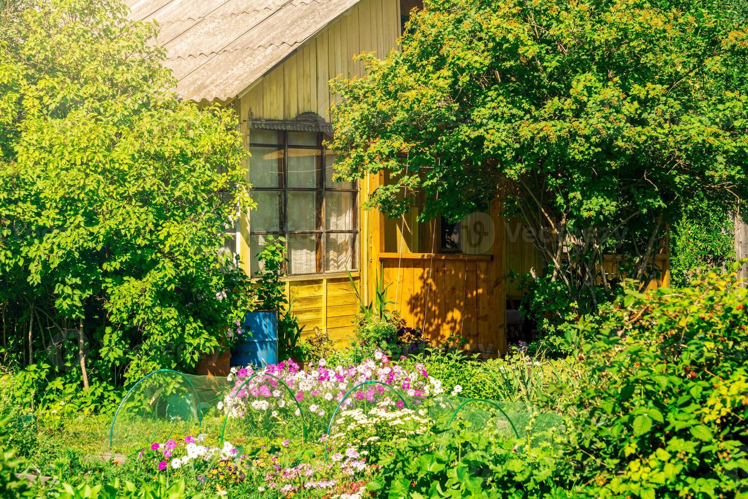 by hus med trädgård på en solig sommar dag foto