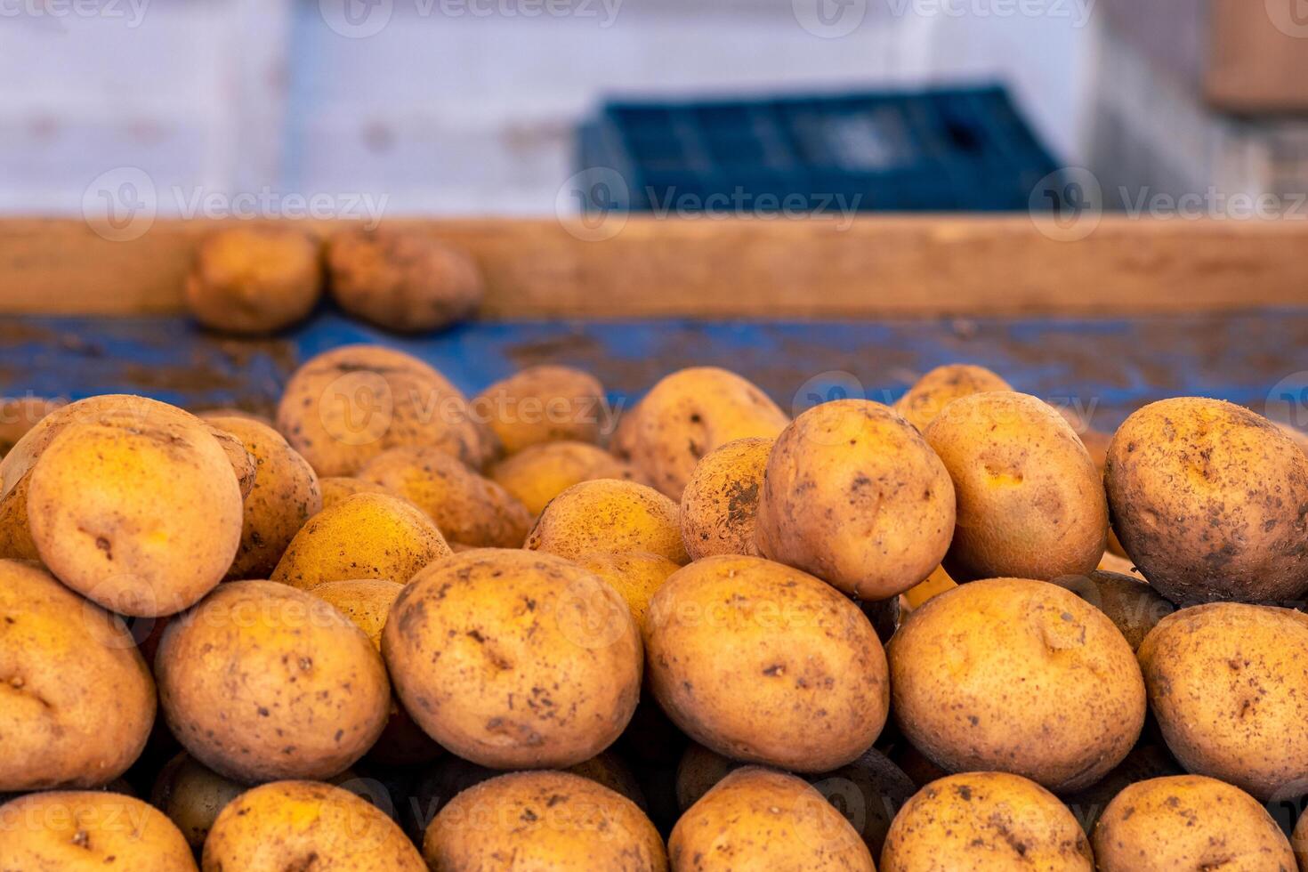 potatis knölar på de disken i de lokal- marknadsföra närbild foto