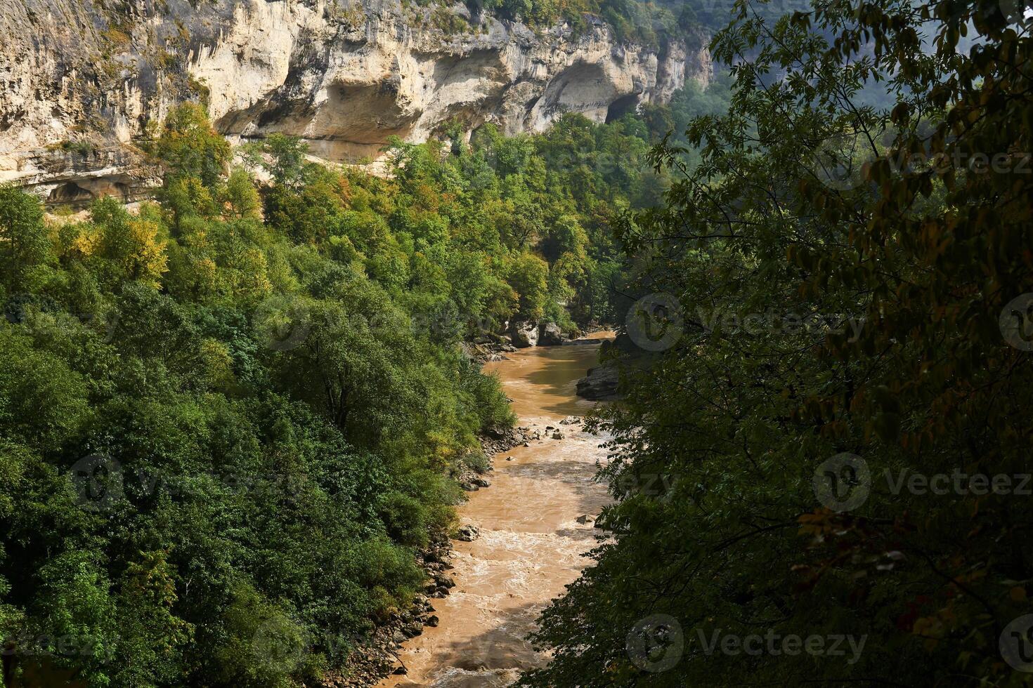 klyfta med en grumlig flod bland vild vegetation foto