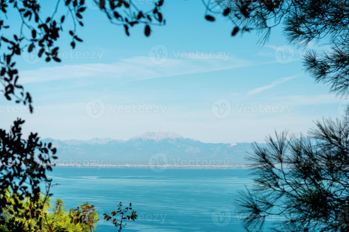 hav bukt med en avlägsen bergig kust, se från de berg genom de grenar av träd på de kust av antalya foto