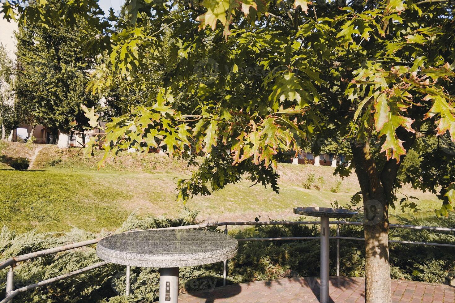 en solig stad parkera, en mysigt plats på tabeller under en bred träd foto