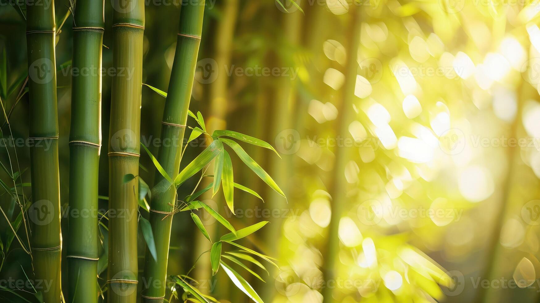 ai genererad många bambu stjälkar och ljus stråle foto