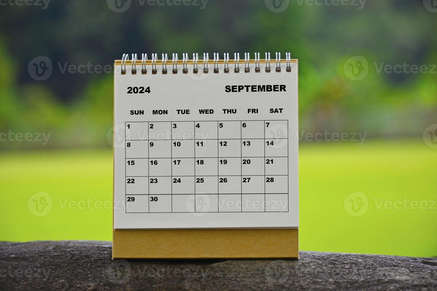 september 2024 vit kalender med grön suddig bakgrund. foto