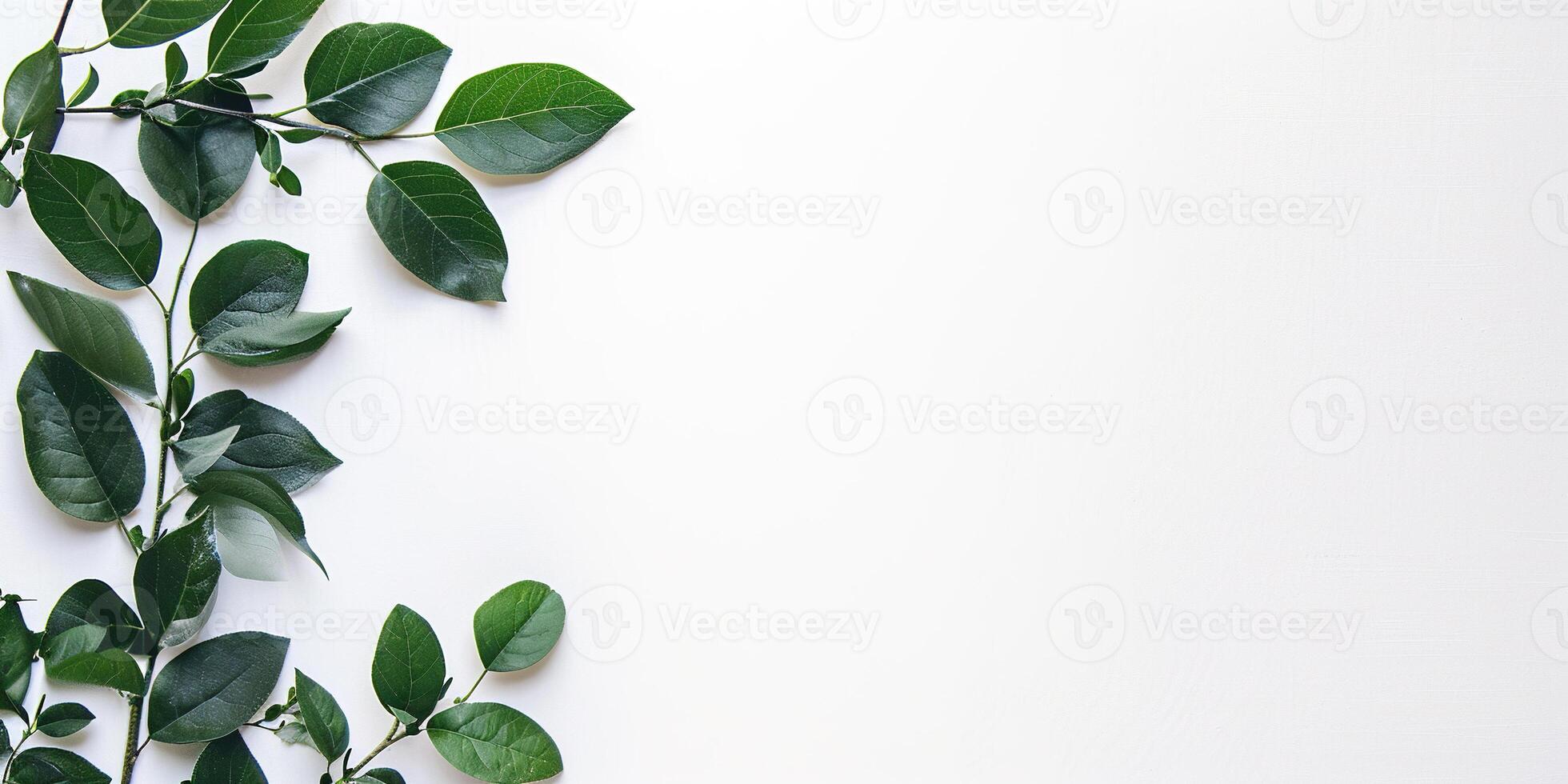 ai genererad grön växt löv och vinstockar på en vit bakgrund med kopia Plats. grönska, natur, tillväxt begrepp, grafisk design resurs element foto