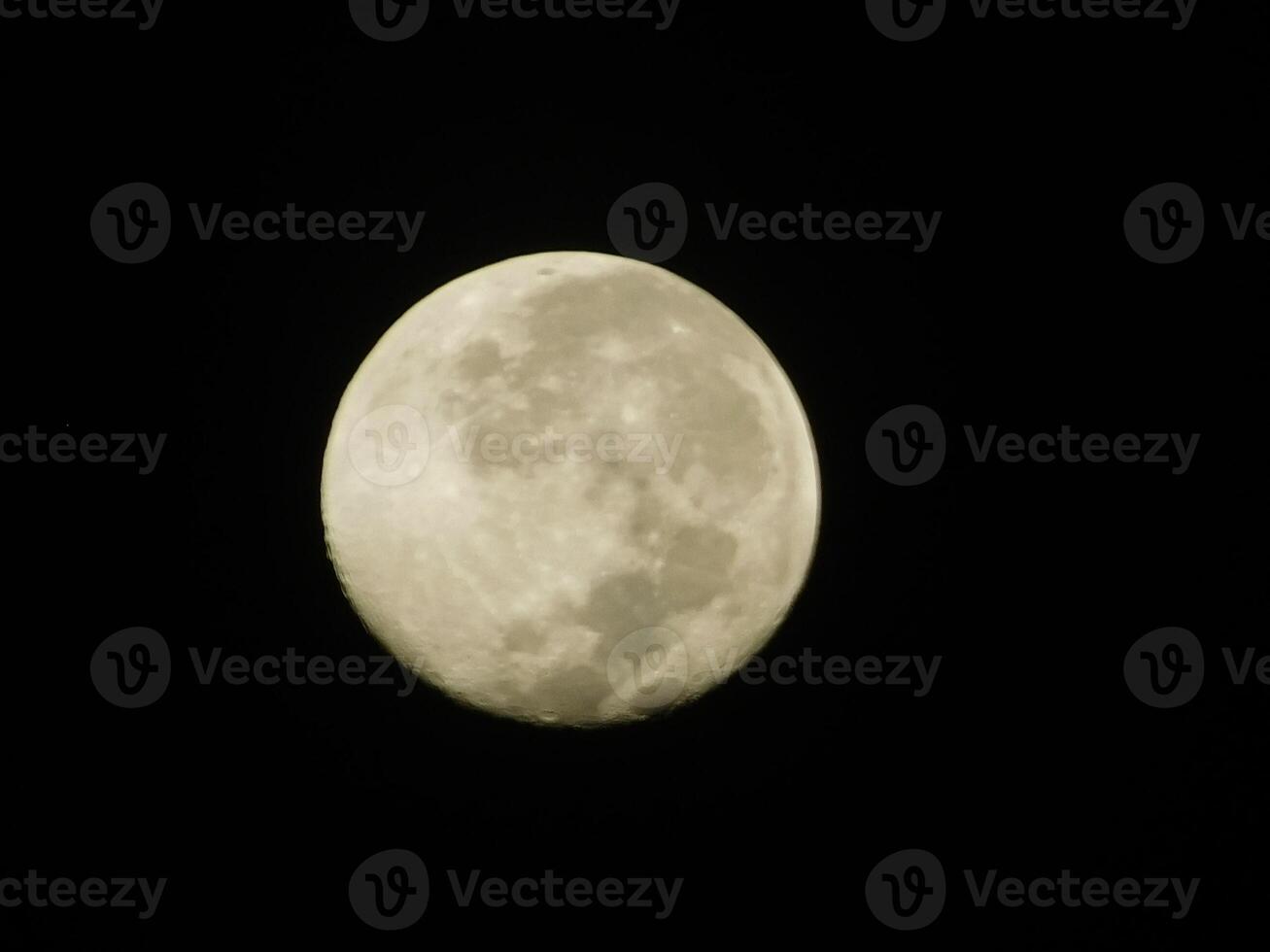 full måne poträtt på natt foto