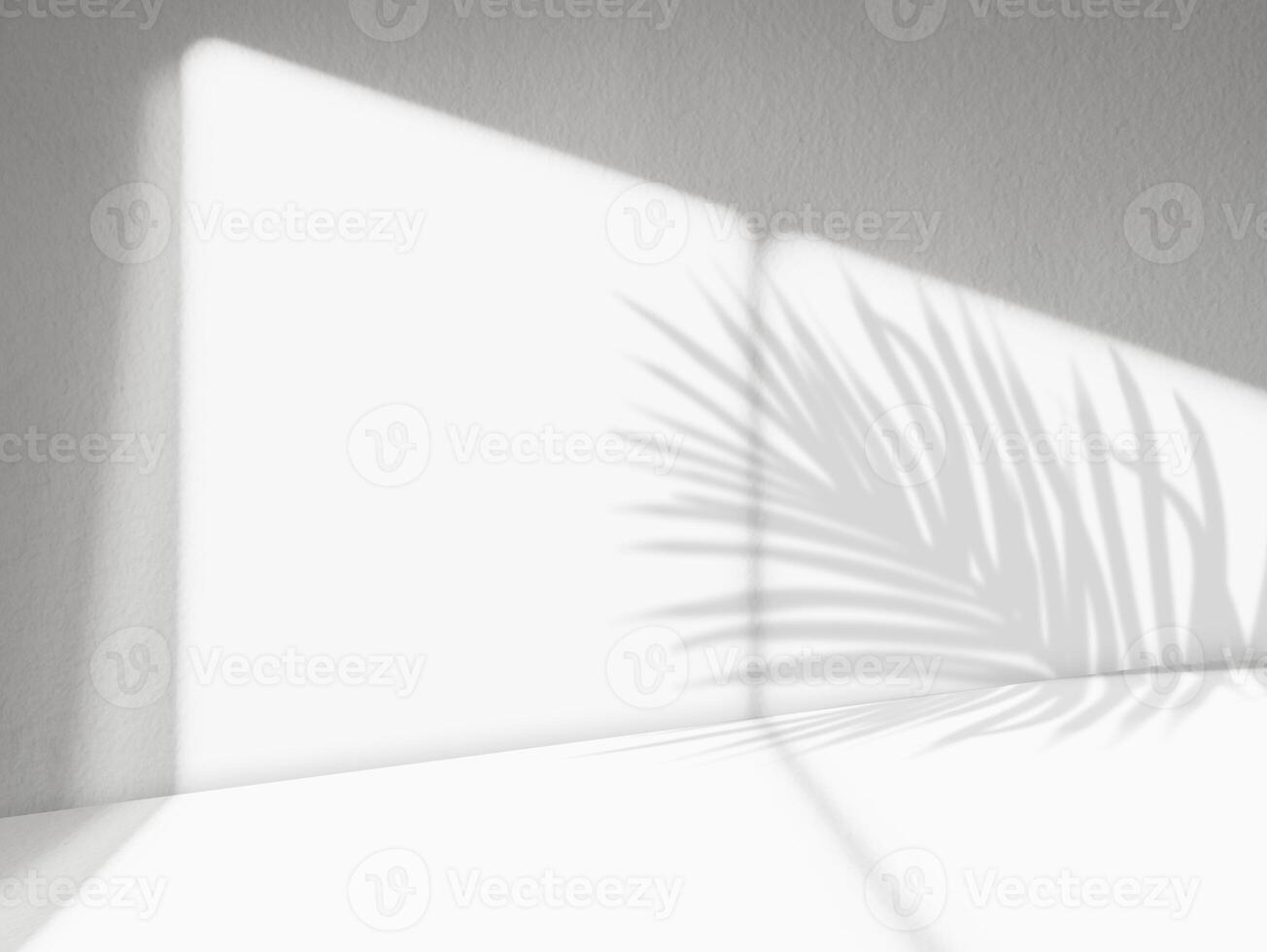 vit bakgrund med ljus av fönster ram, handflata löv skugga på betong vägg yta textur, tom grå cement studio rum med solljus reflektera på vägg bakgrund, bakgrund för produkt design foto