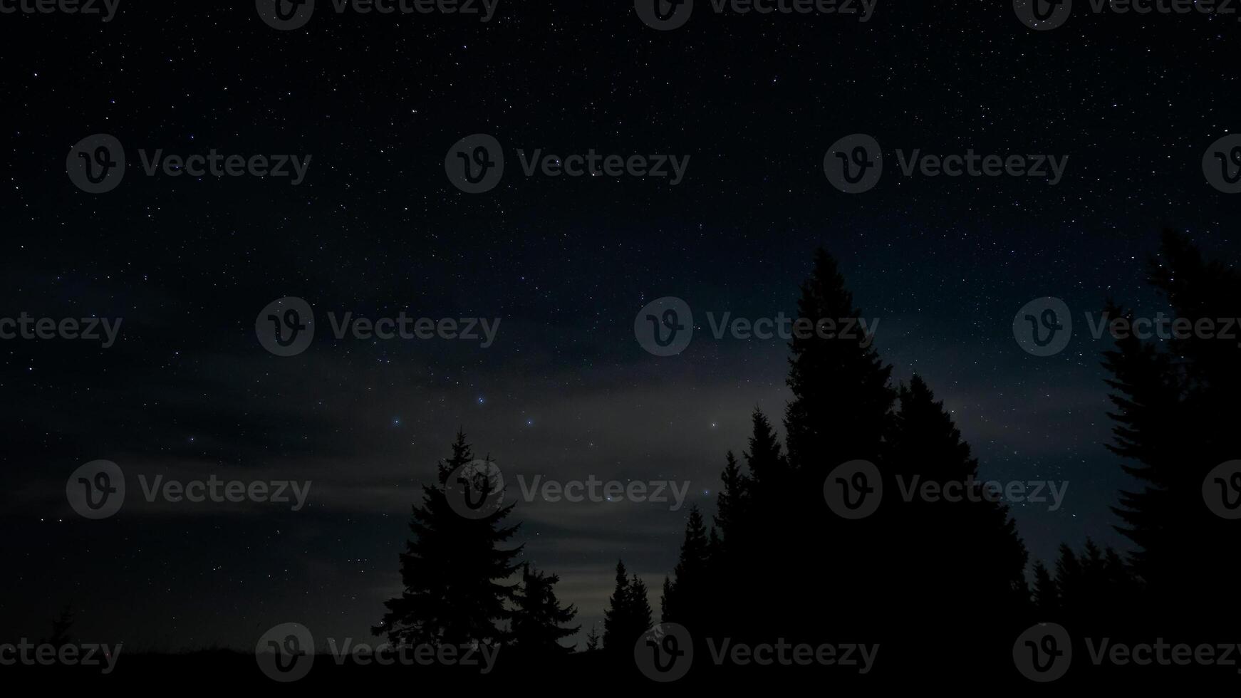 stjärnor i natt himmel över träd silhuetter. de konstellation ursa större är klart synlig. foto