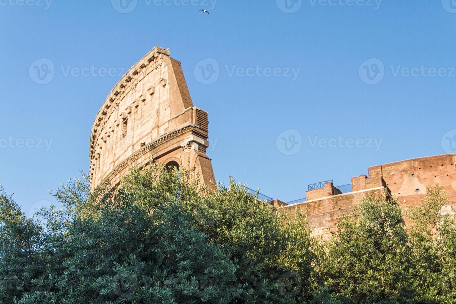 colosseum i Rom, Italien foto