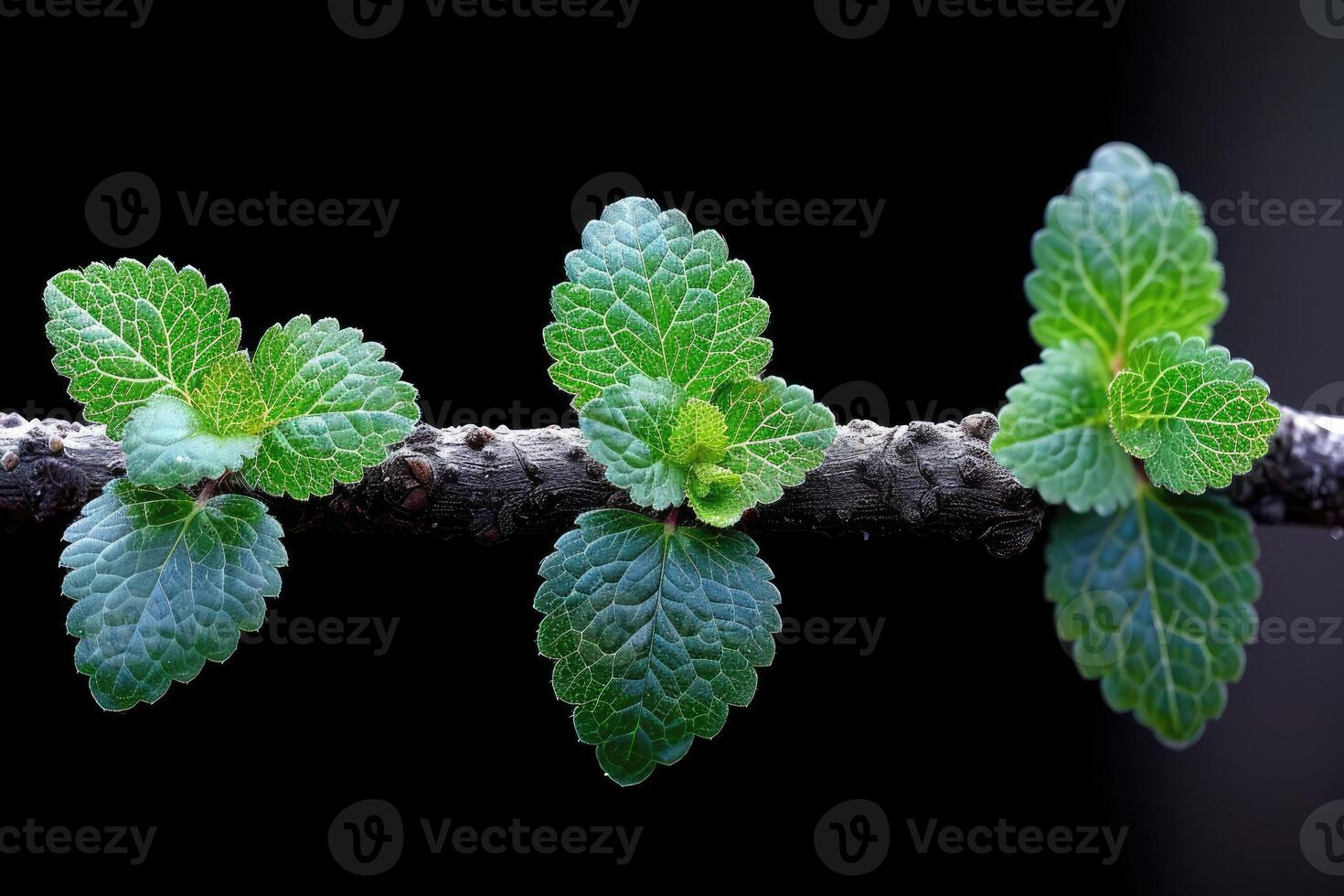 ai genererad skön tropisk djungel natur professionell fotografi foto