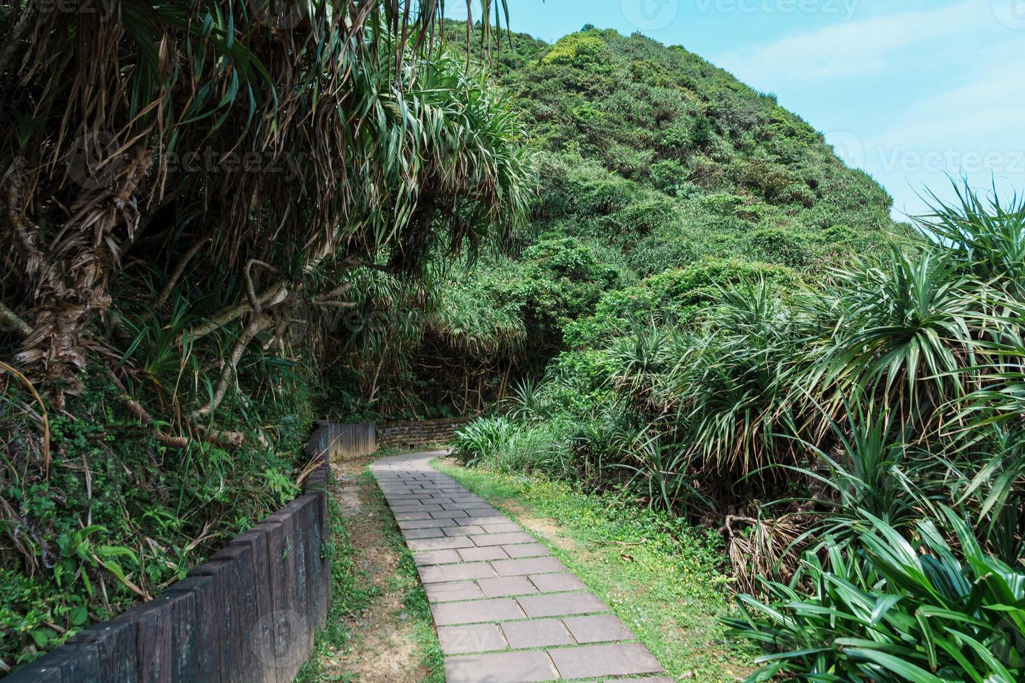 landskap av bitou cape vandring spår i ny taipei stad. landmärke och populär attraktioner nära taipei. Asien och sommar resa begrepp foto