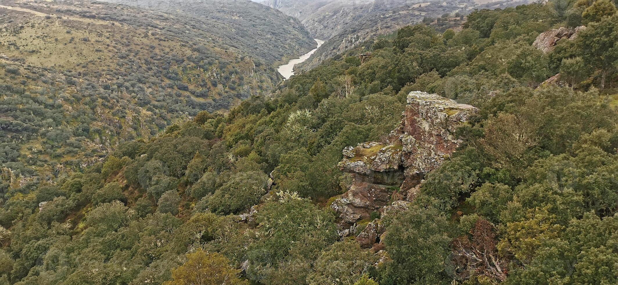 fantastisk se över de douro flod, i de nordost av portugal. underbar resor. foto