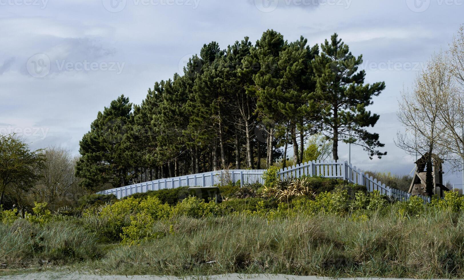 dublin - sandymount lekplats, rad av träd och blå staket foto