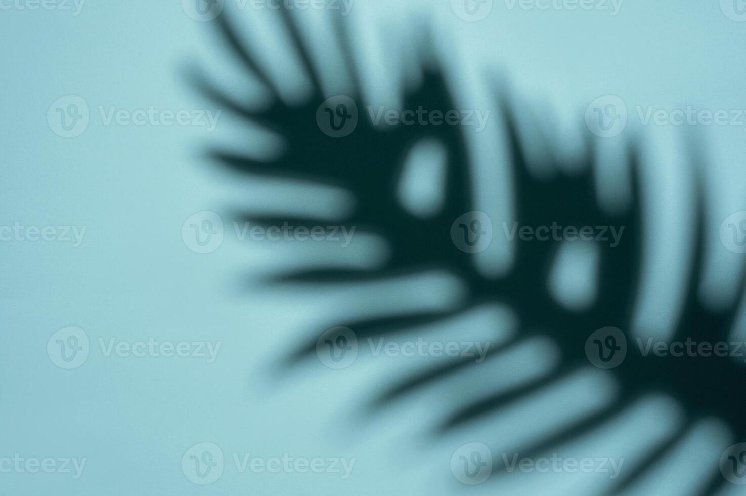 abstrakt skugga av en tropisk blad på en ljus blå bakgrund i mjuk fokus foto