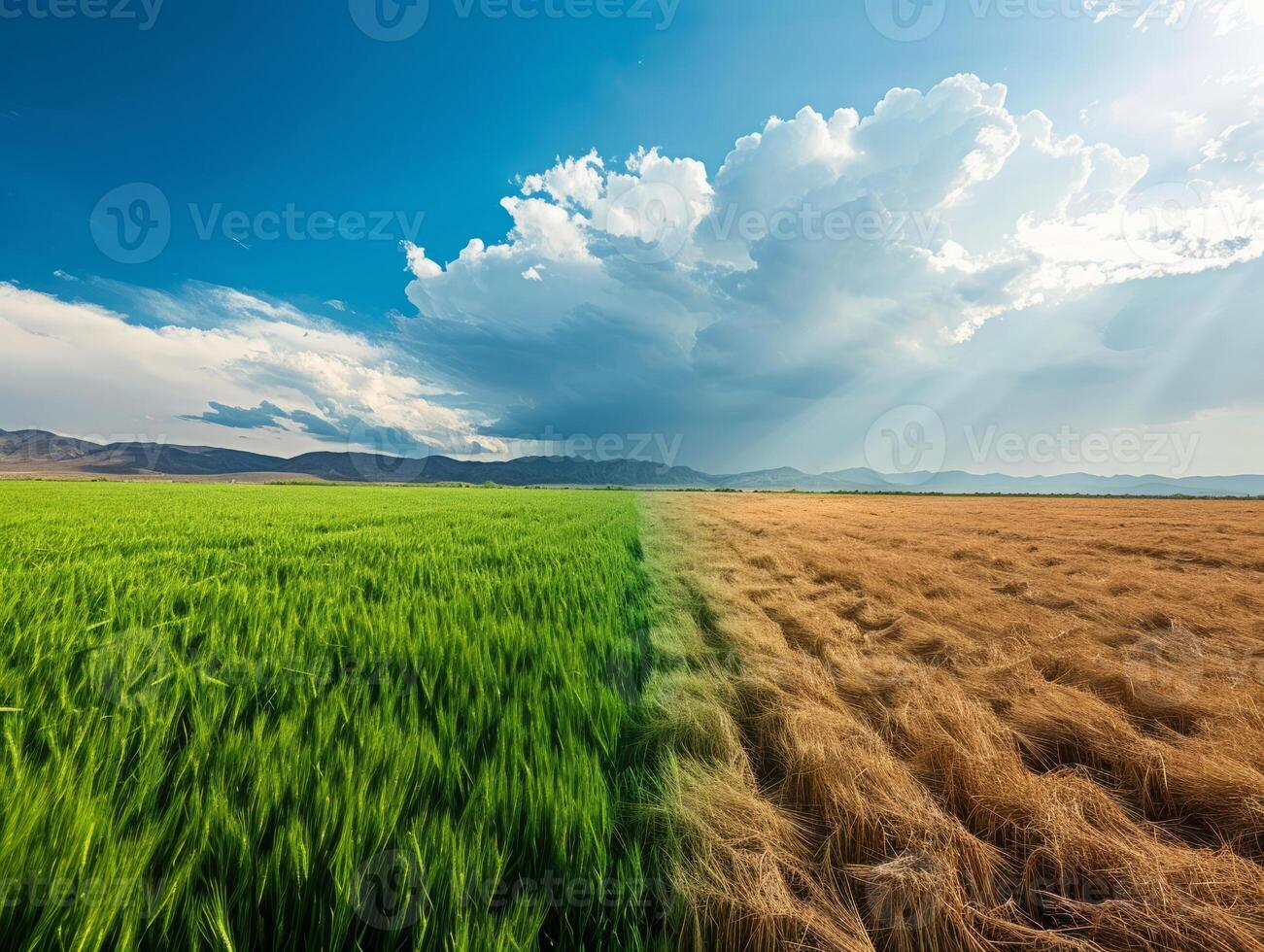 ai genererad planet vändning till torka fält, begrepp illustrerar klimat förändra påverkar lantbruk och jord foto