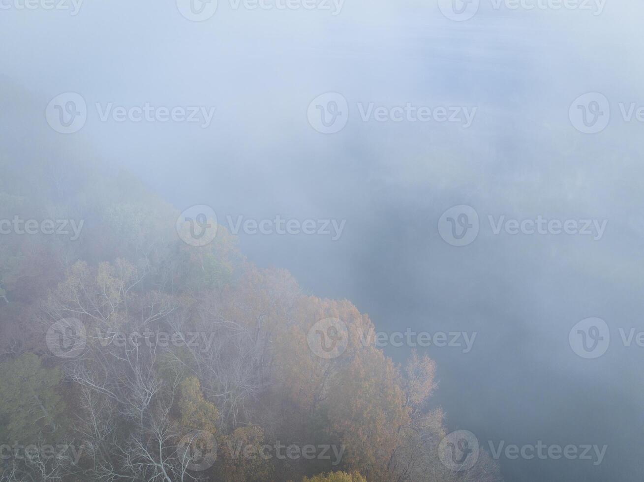 dimmig morgon- över skog och de tennessee flod nära colbert färja parkera, natchez spår parkway - sent november antenn se foto