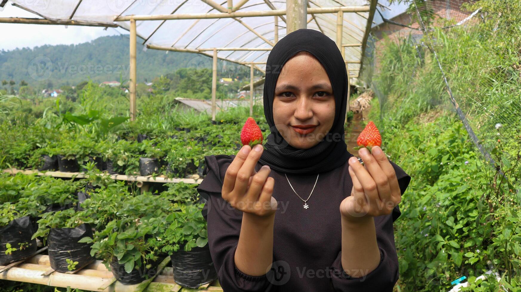 porträtt av leende ung kvinna plockning färsk jordgubbar på jordgubbar trädgård. foto
