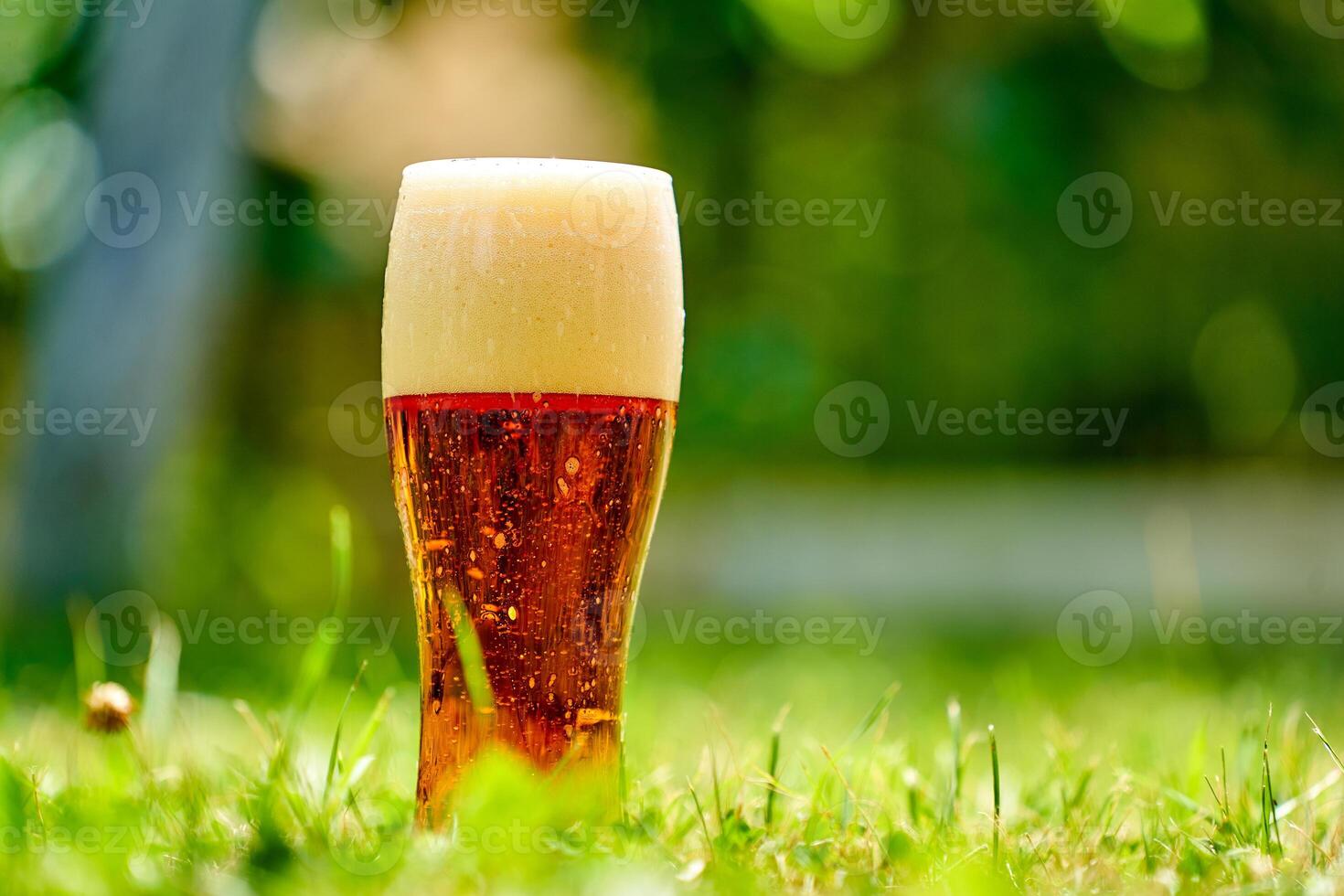 glas av kall färsk öl. öl i trädgård och sommar dag foto