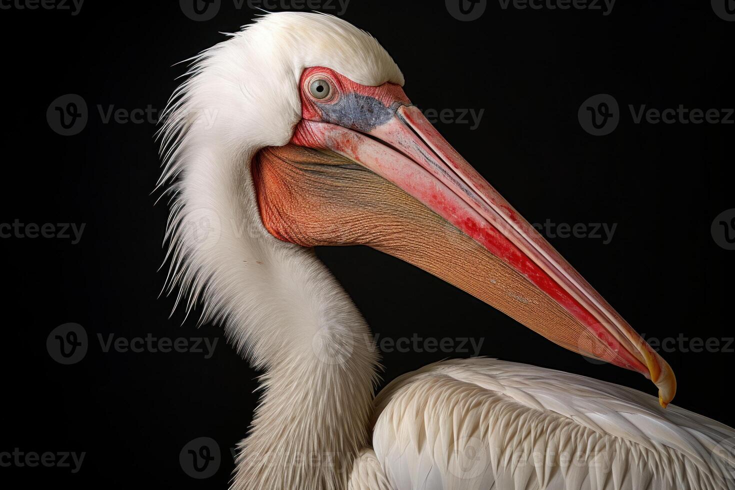 ai genererad uthållig pelikan exotisk fågel. generera ai foto