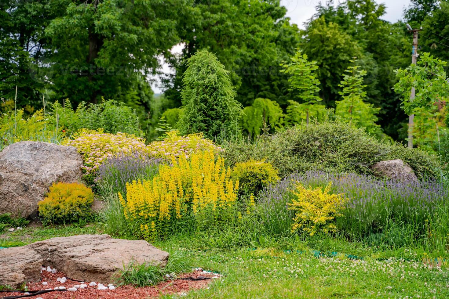 färsk naturlig sommar skön grön landskap. grön miljö botanik parkera. foto