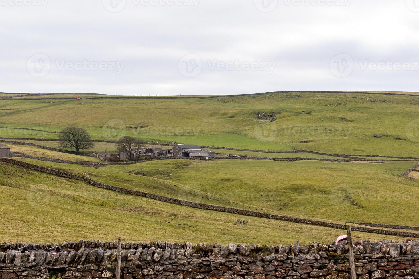 rullande grön kullar med sten staket och en bondgård i de engelsk landsbygden i topp distrikt, england. foto