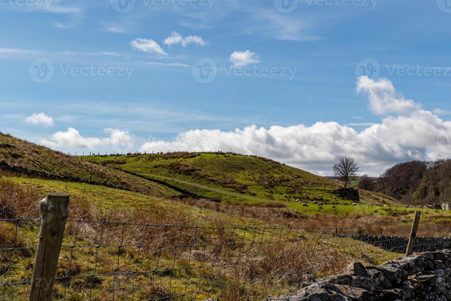 rullande grön kullar under en blå himmel med fluffig moln, terar en sten vägg och trä- staket posta i de förgrund i yorkshire dalar. foto